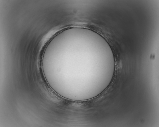 X0000111620294200907311209