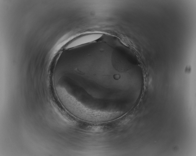 X0000111620295200907311209