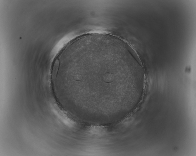 X0000111620296200907311209