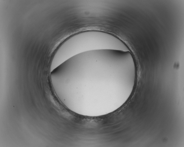 X0000111620297200907311209