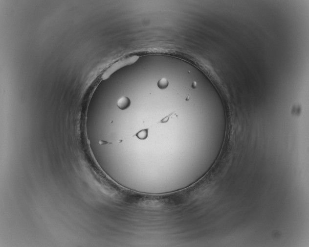 X0000111620299200907311209