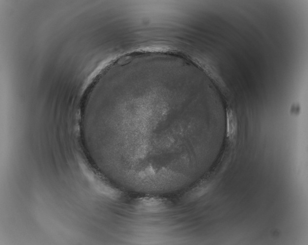 X0000111620300200907311209