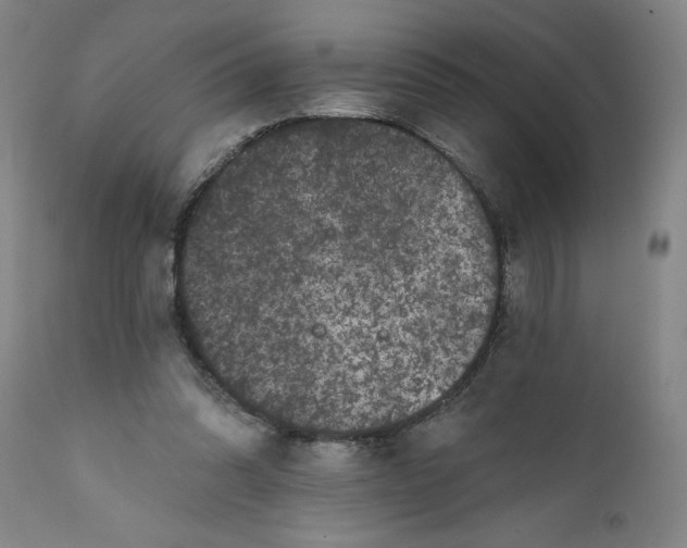 X0000111620302200907311209