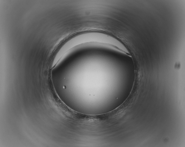 X0000111620304200907311209