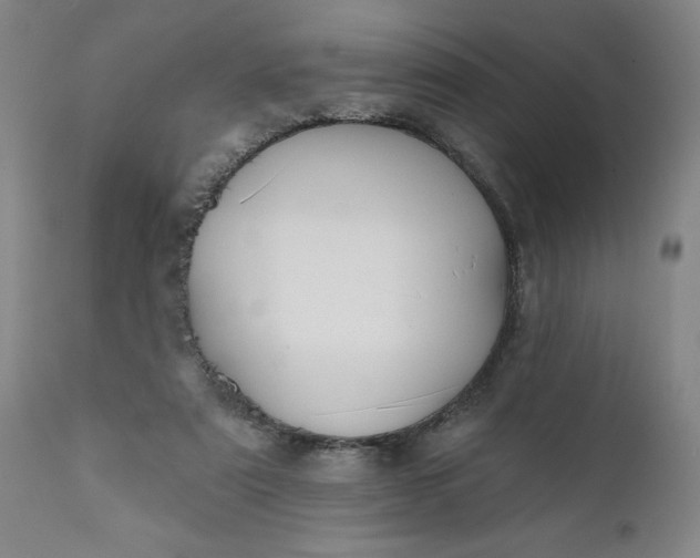 X0000111620307200907311209