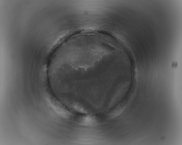 X0000111620308200907311209