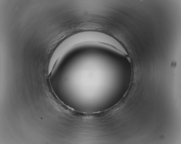 X0000111620309200907311209