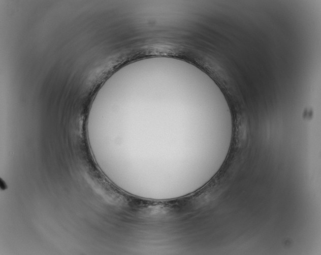 X0000111620310200907311209