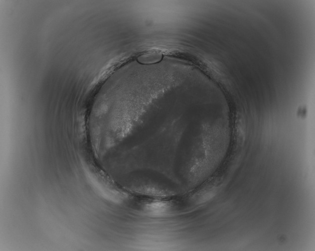 X0000111620312200907311209