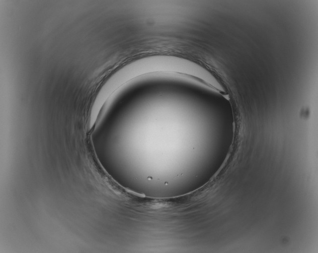 X0000111620313200907311209