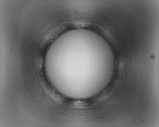 X0000111620315200907311209