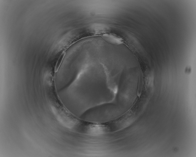 X0000111620316200907311209