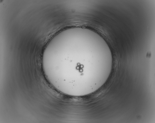 X0000111620317200907311209