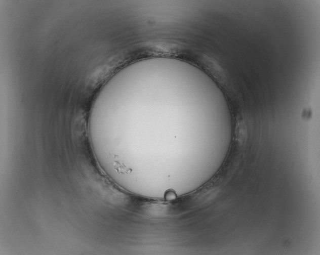 X0000111620318200907311209