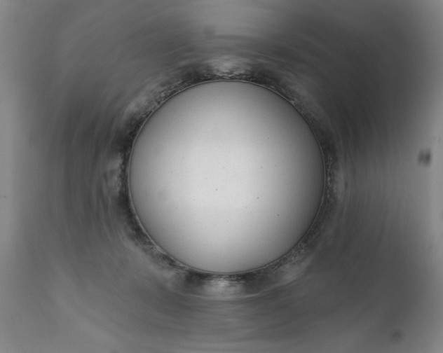 X0000111620319200907311209