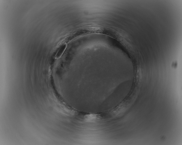 X0000111620320200907311209