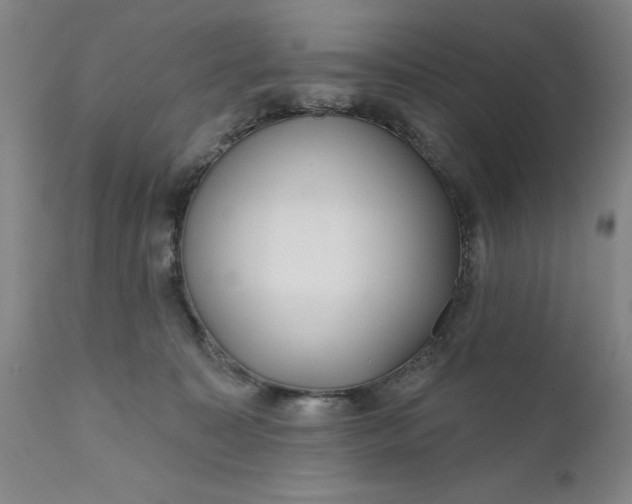 X0000111620323200907311209