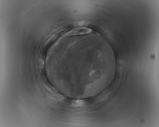 X0000111620324200907311209