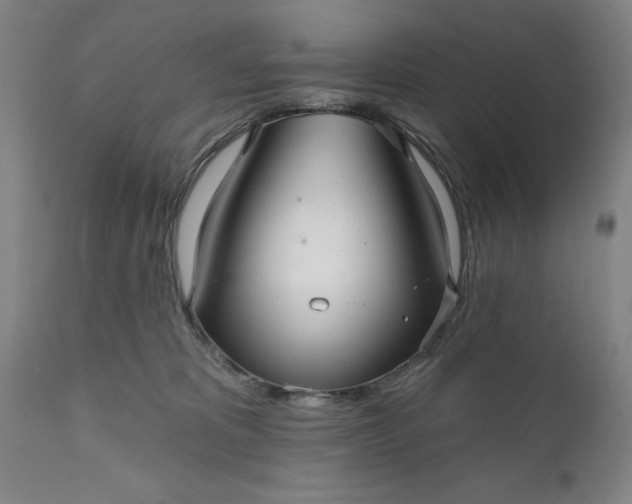 X0000111620325200907311209