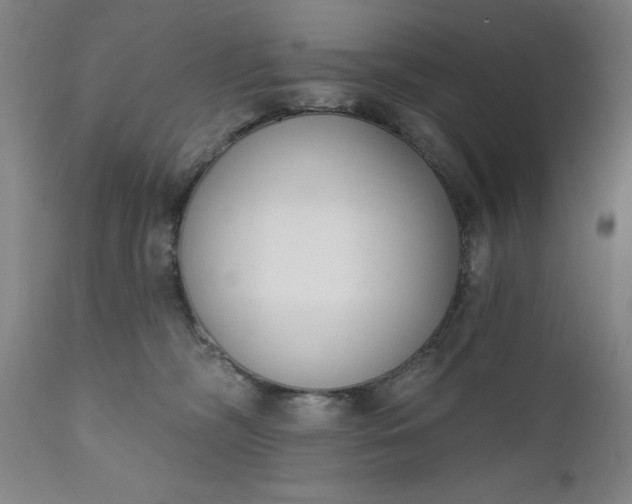 X0000111620326200907311209