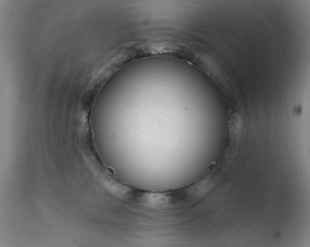 X0000111620327200907311209