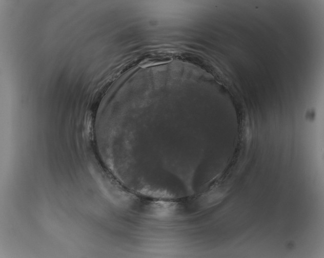 X0000111620328200907311209