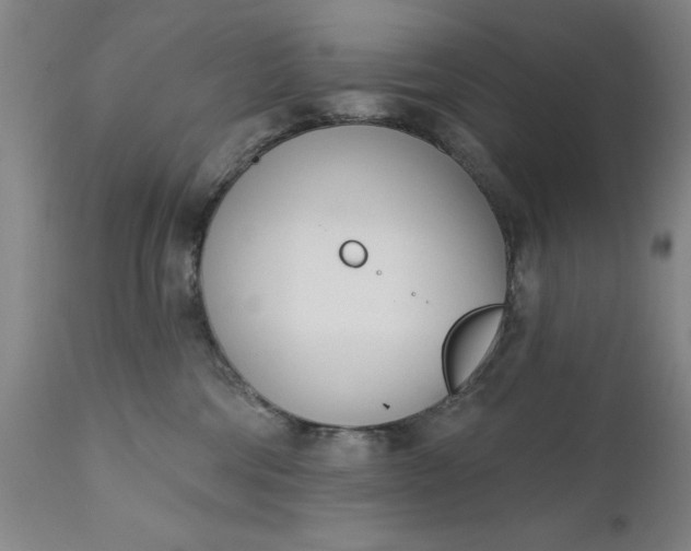 X0000111620330200907311209