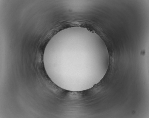 X0000111620331200907311209