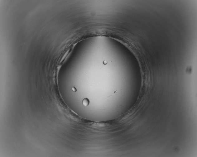 X0000111620332200907311209