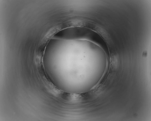 X0000111620333200907311209