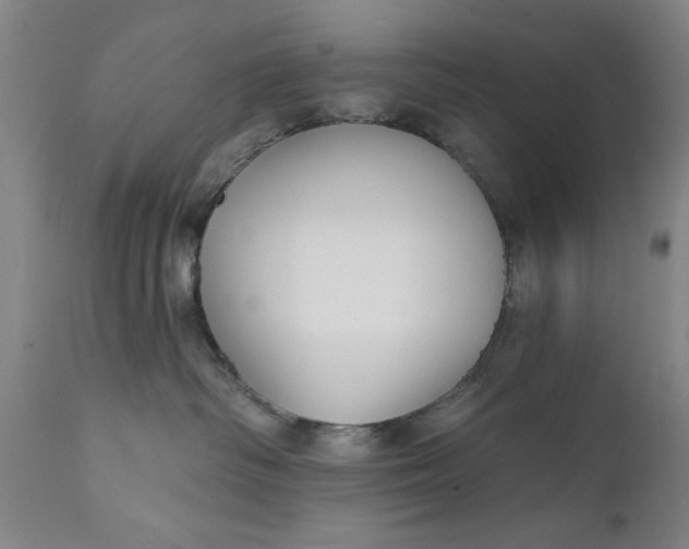 X0000111620334200907311209