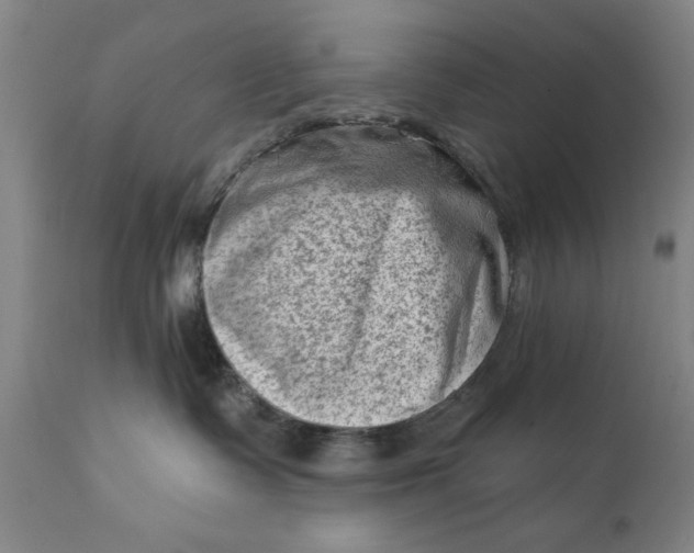 X0000111620335200907311209