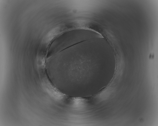 X0000111620336200907311209