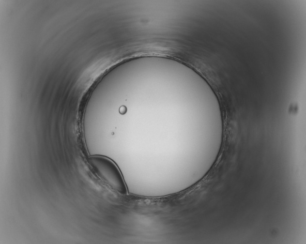 X0000111620338200907311208