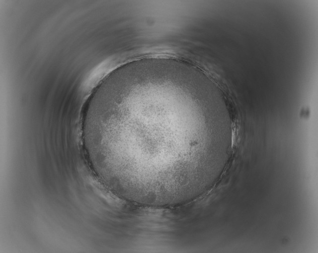 X0000111620339200907311208