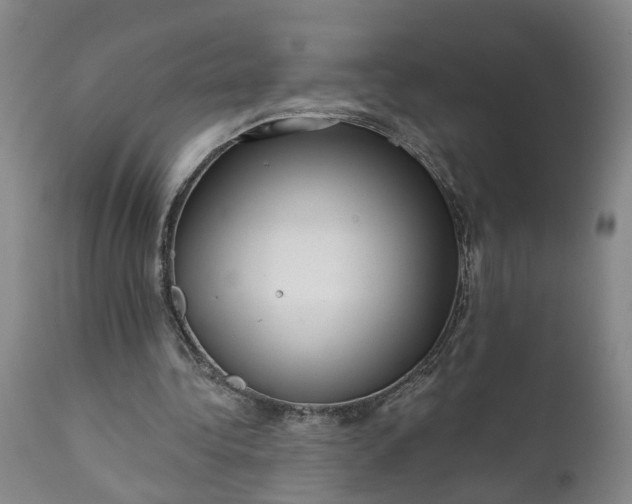 X0000111620340200907311208