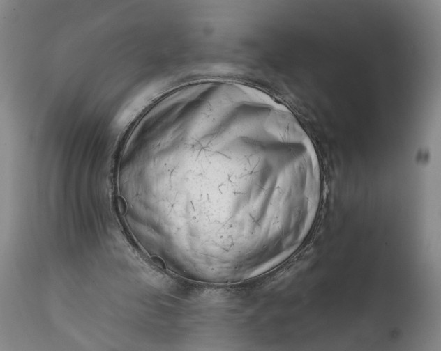 X0000111620341200907311208