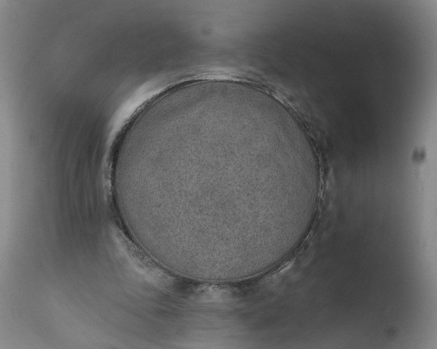 X0000111620343200907311208