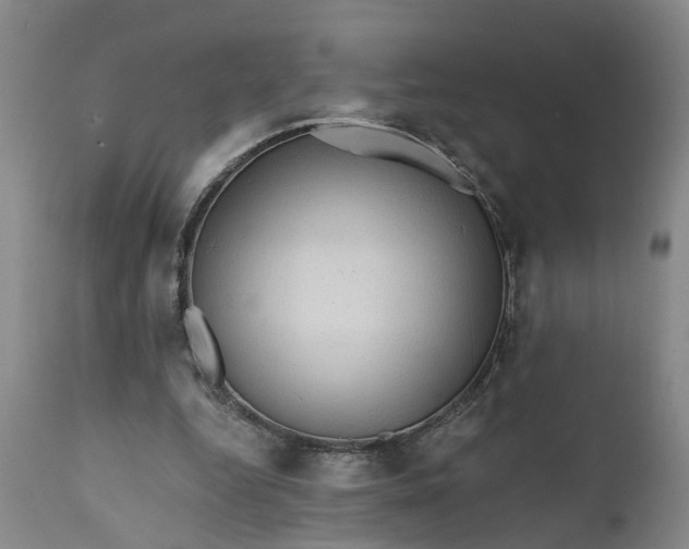 X0000111620344200907311208