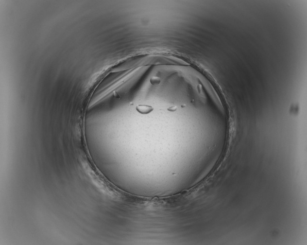 X0000111620345200907311208