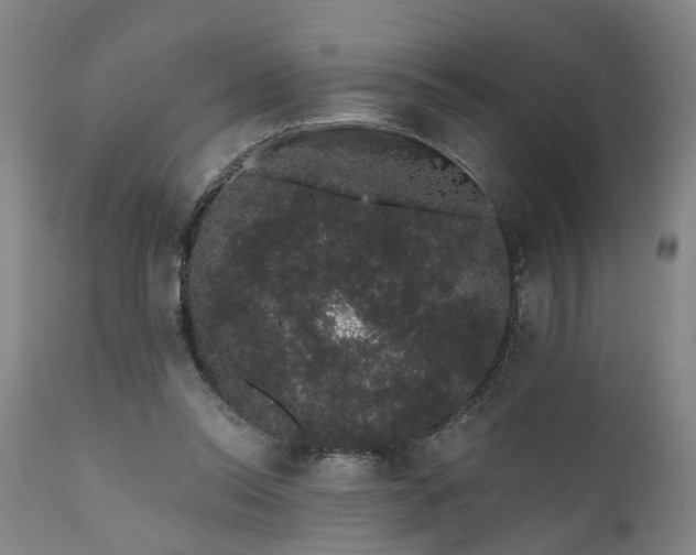 X0000111620350200907311208