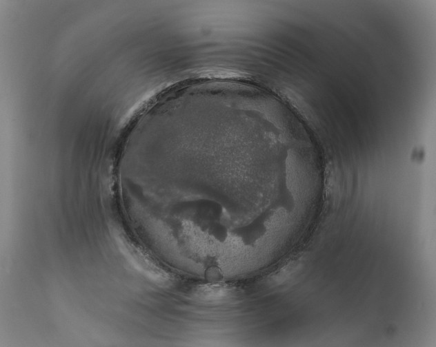 X0000111620351200907311208