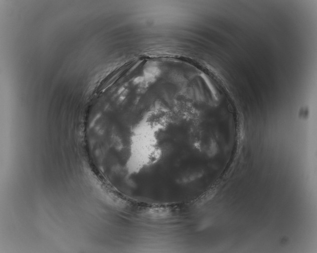 X0000111620353200907311208