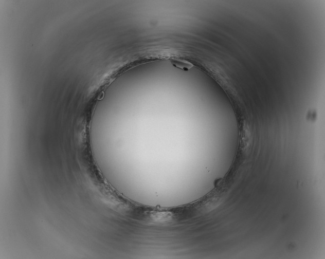 X0000111620355200907311208