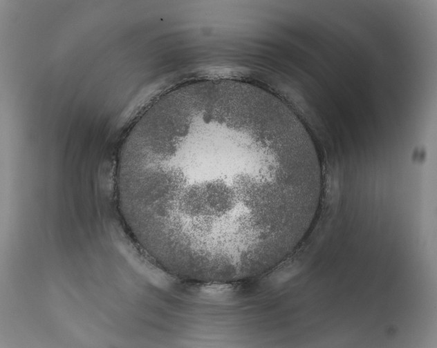 X0000111620357200907311208