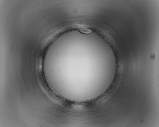 X0000111620358200907311208