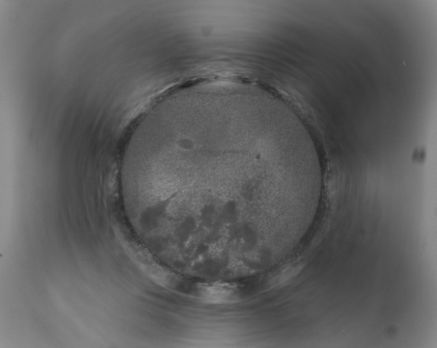 X0000111620359200907311208