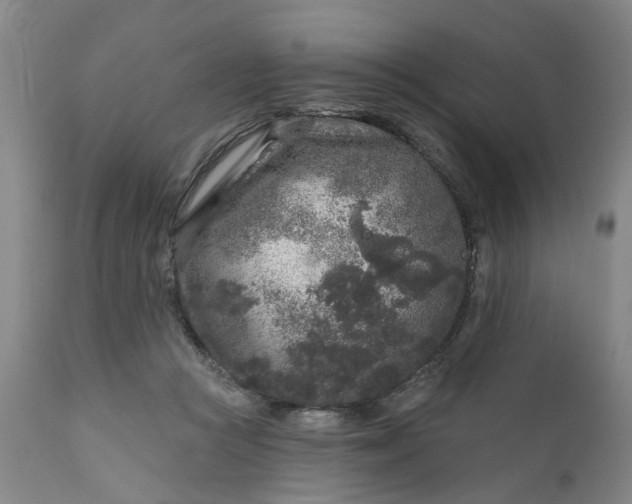 X0000111620361200907311208