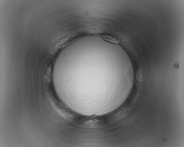 X0000111620364200907311208