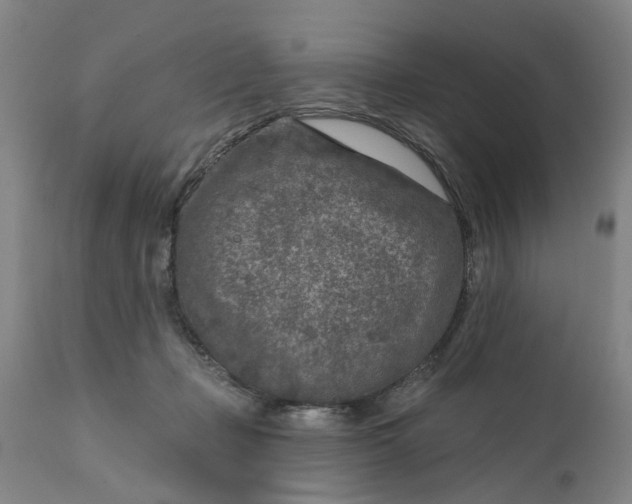 X0000111620365200907311208